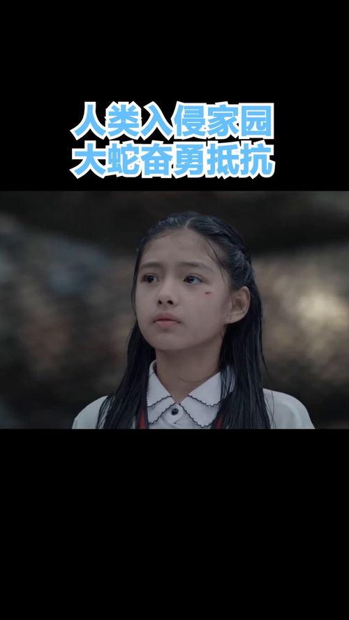 入侵家园在线观看,在线揭秘惊心动魄的入侵真相